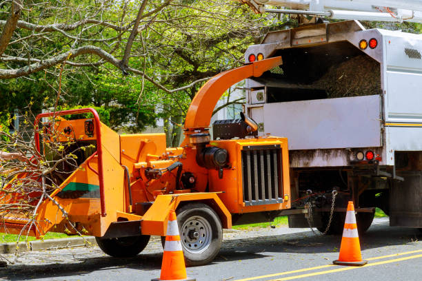 Reliable Man, WV Tree Removal and Landscaping Services Solutions